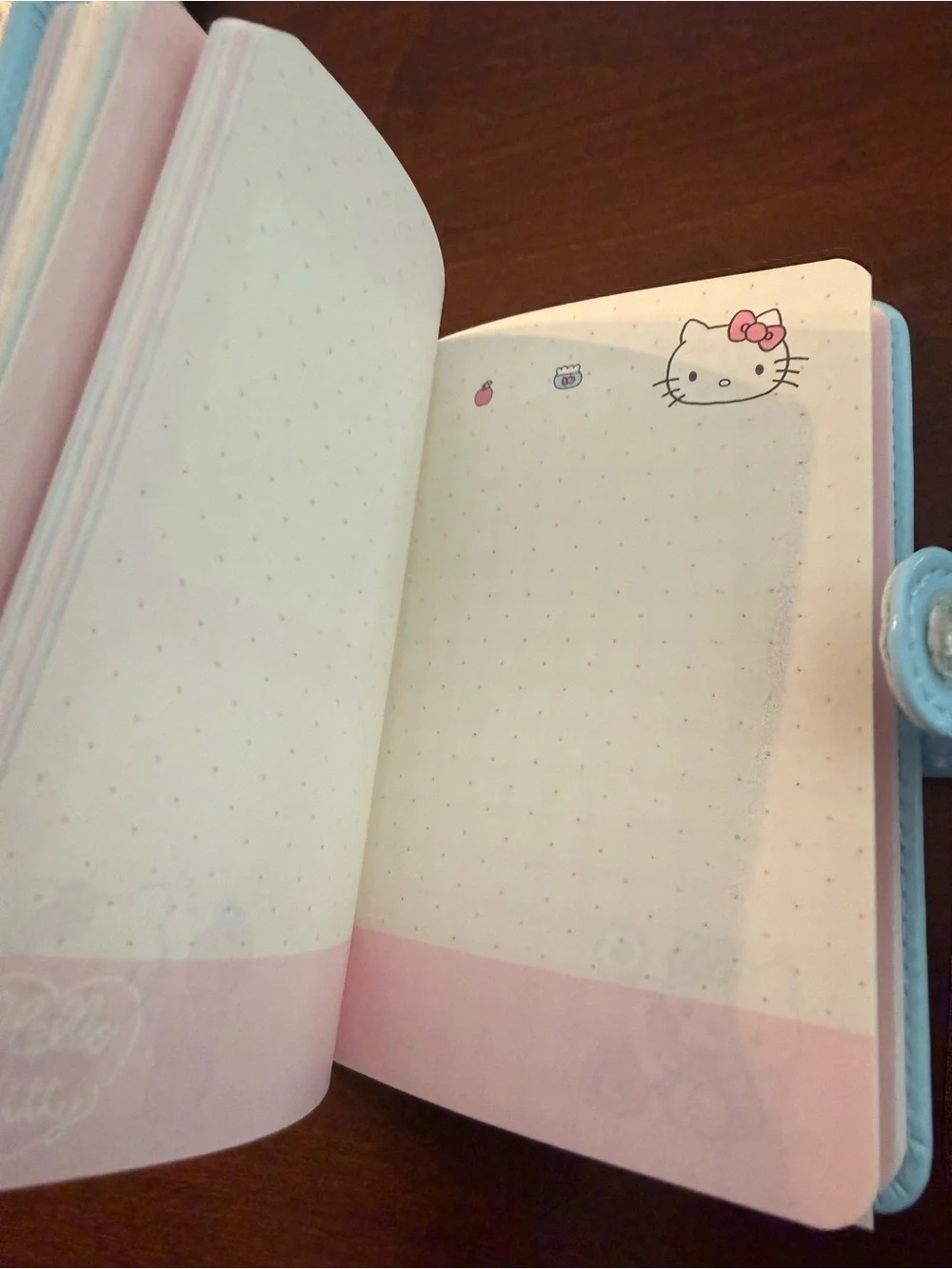 NWT! Sanrio licensed Hello Kitty authentic product journal with graphic pages